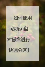 如何使用u深度u盘对磁盘进行快速分区