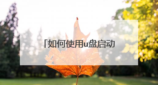 如何使用u盘启动大师制作系统盘