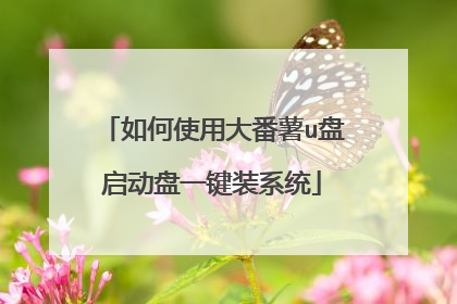 如何使用大番薯u盘启动盘一键装系统