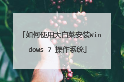 如何使用大白菜安装Windows 7 操作系统