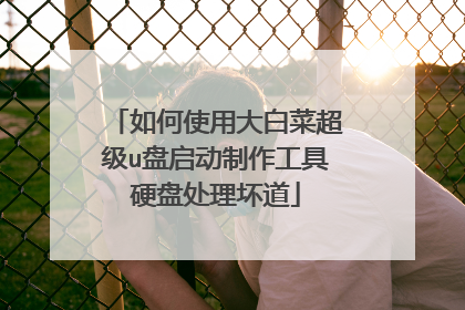 如何使用大白菜超级u盘启动制作工具硬盘处理坏道