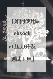 如何使用websocket压力并发测试工具