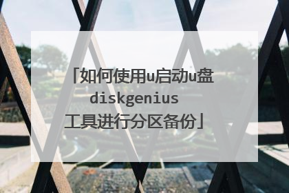 如何使用u启动u盘diskgenius工具进行分区备份