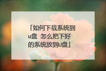 如何下载系统到u盘 怎么把下好的系统放到U盘