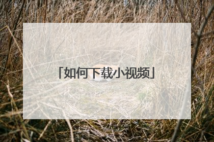 如何下载小视频