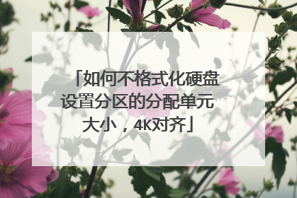 如何不格式化硬盘设置分区的分配单元大小，4K对齐