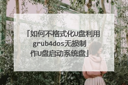 如何不格式化U盘利用grub4dos无损制作U盘启动系统盘