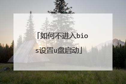 如何不进入bios设置u盘启动