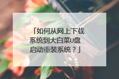 如何从网上下载系统到大白菜U盘启动重装系统?