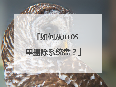 如何从BIOS里删除系统盘？