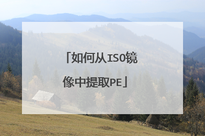 如何从ISO镜像中提取PE