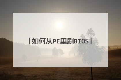 如何从PE里刷BIOS