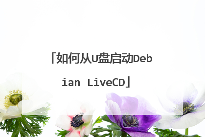 如何从U盘启动Debian LiveCD