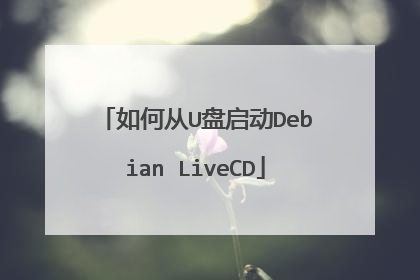 如何从U盘启动Debian LiveCD