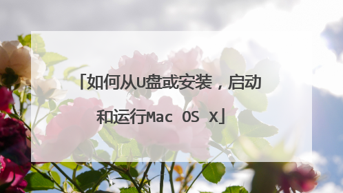 如何从U盘或安装，启动和运行Mac OS X