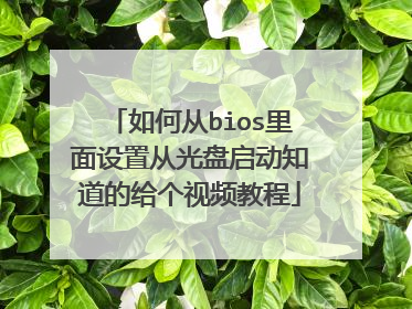 如何从bios里面设置从光盘启动知道的给个视频教程