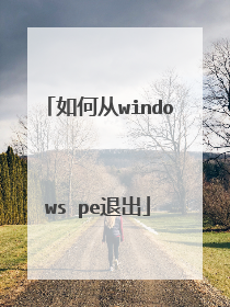 如何从windows pe退出
