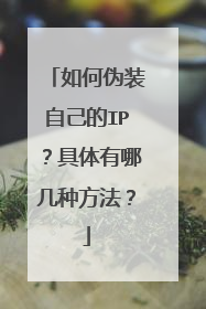 如何伪装自己的IP?具体有哪几种方法?