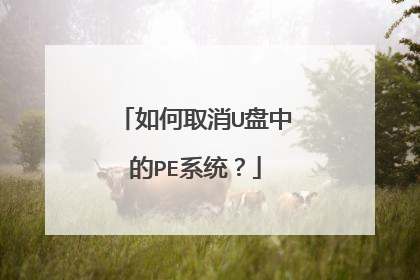 如何取消U盘中的PE系统？