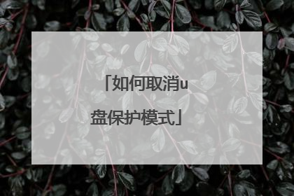 如何取消u盘保护模式