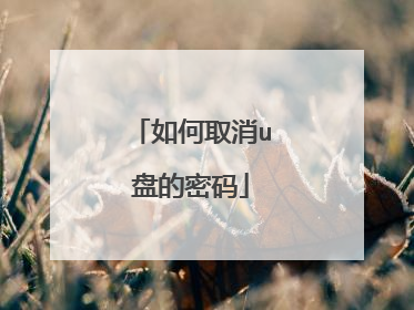 如何取消u盘的密码