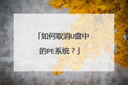 如何取消U盘中的PE系统?
