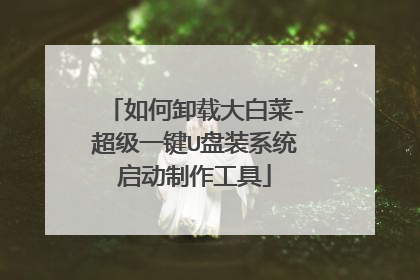 如何卸载大白菜-超级一键U盘装系统启动制作工具