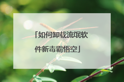 如何卸载流氓软件新毒霸悟空