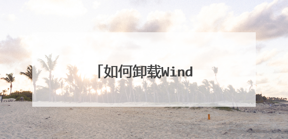 如何卸载Windows PE ?