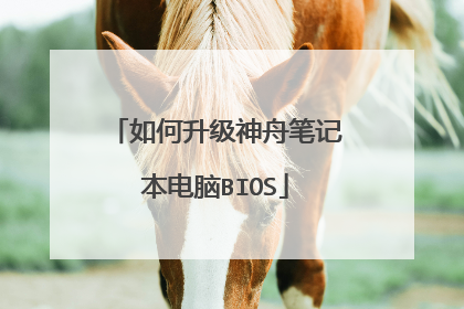 如何升级神舟笔记本电脑BIOS