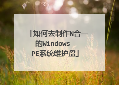 如何去制作N合一的Windows PE系统维护盘