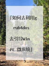 如何去利用grub4dos去引导Win PE 微系统