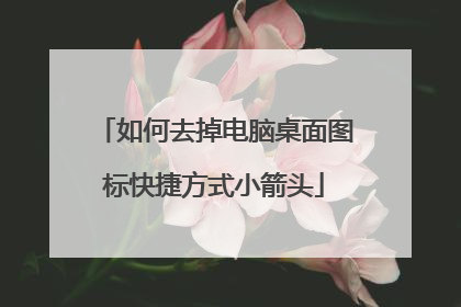 如何去掉电脑桌面图标快捷方式小箭头