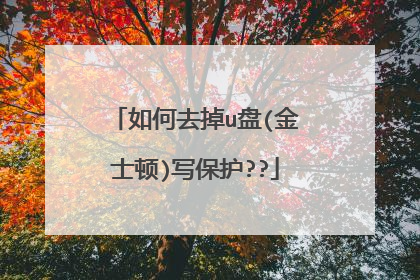 如何去掉u盘(金士顿)写保护??