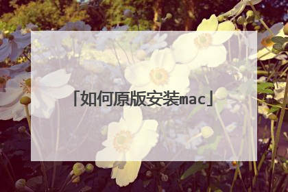 如何原版安装mac