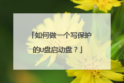 如何做一个写保护的U盘启动盘？