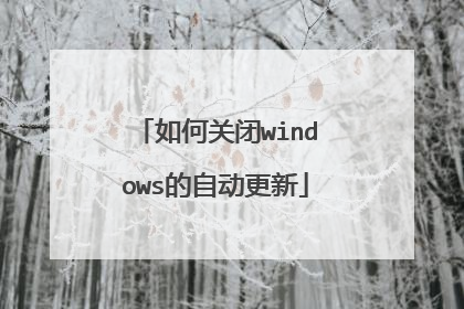 如何关闭windows的自动更新