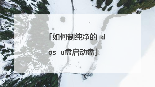 如何制纯净的 dos u盘启动盘