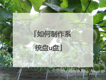 如何制作系统盘u盘