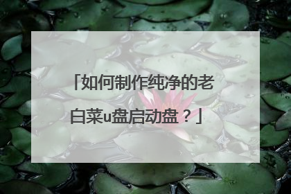 如何制作纯净的老白菜u盘启动盘？