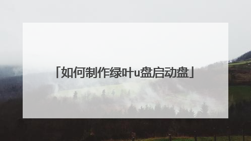 如何制作绿叶u盘启动盘