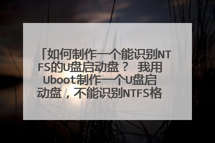 如何制作一个能识别NTFS的U盘启动盘? 我用Uboot制作一个U盘启动盘,不能识别NTFS格式的硬盘。怎么办?