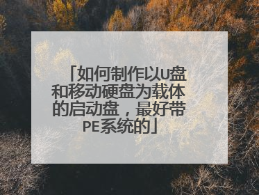 如何制作以U盘和移动硬盘为载体的启动盘,最好带PE系统的