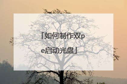 如何制作双pe启动光盘