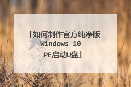 如何制作官方纯净版Windows 10 PE启动U盘