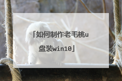 如何制作老毛桃u盘装win10