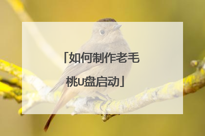如何制作老毛桃U盘启动