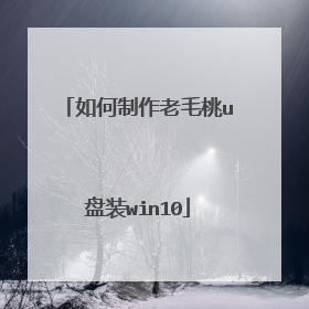 如何制作老毛桃u盘装win10