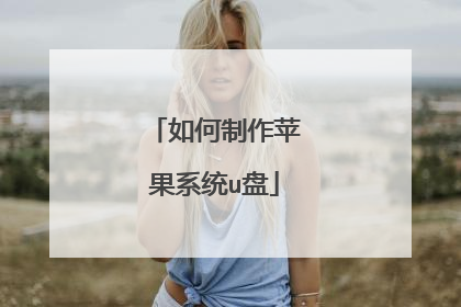 如何制作苹果系统u盘