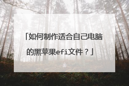 如何制作适合自己电脑的黑苹果efi文件？